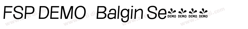 FSP DEMO   Balgin Se字体转换